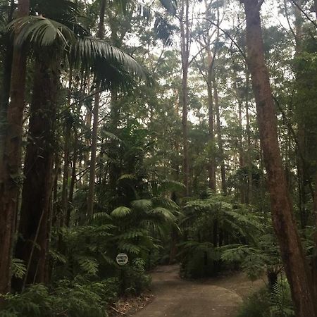 Springbrook Mountain Chalets Luaran gambar