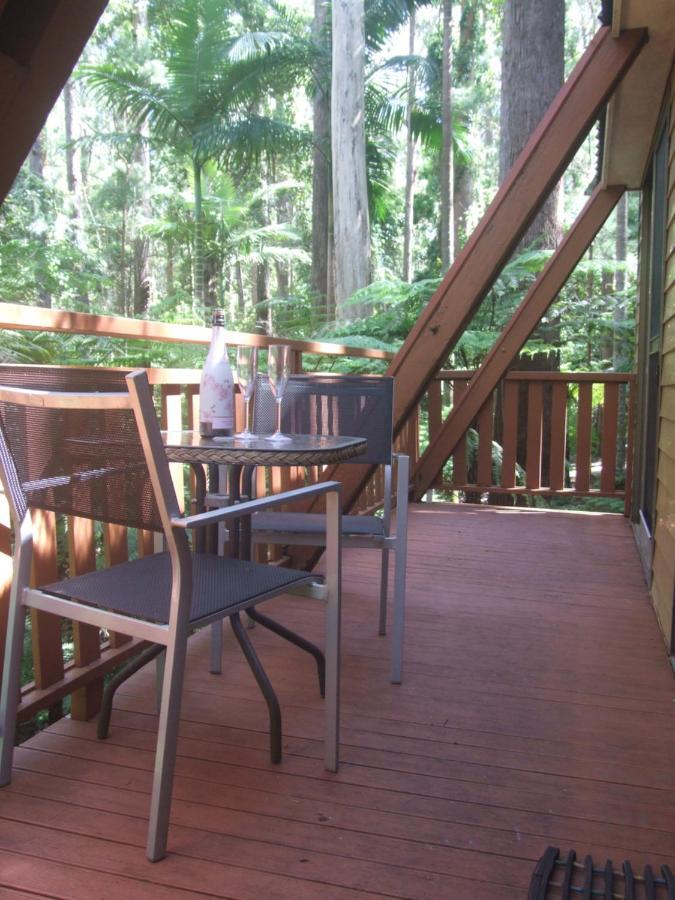 Springbrook Mountain Chalets Luaran gambar