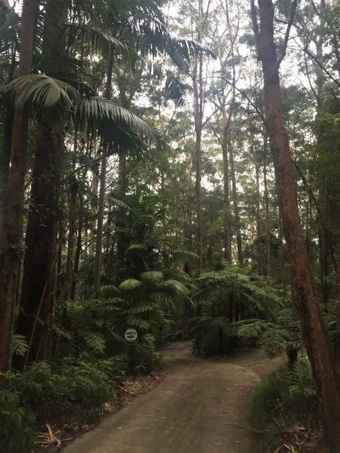 Springbrook Mountain Chalets Luaran gambar