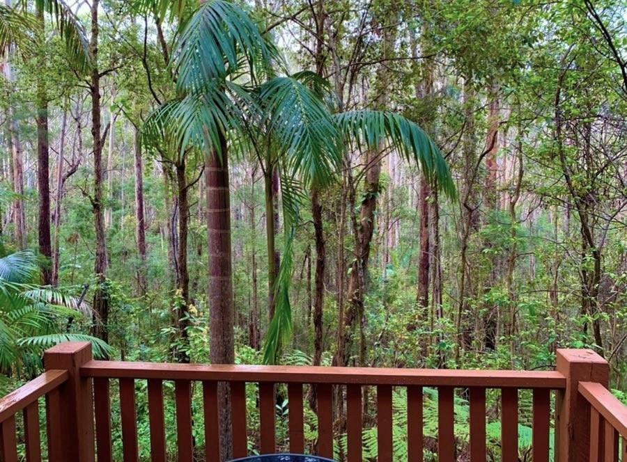 Springbrook Mountain Chalets Luaran gambar
