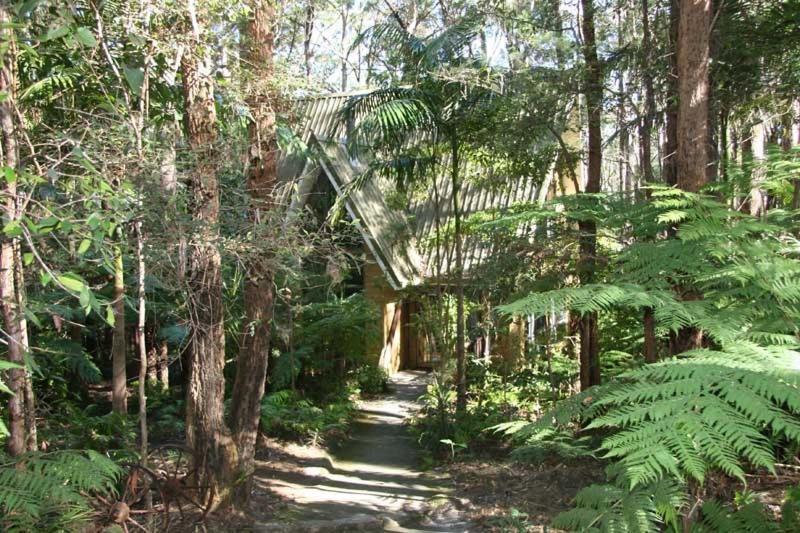 Springbrook Mountain Chalets Bilik gambar