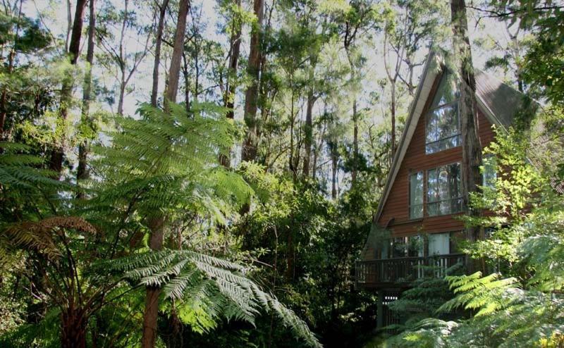 Springbrook Mountain Chalets Luaran gambar