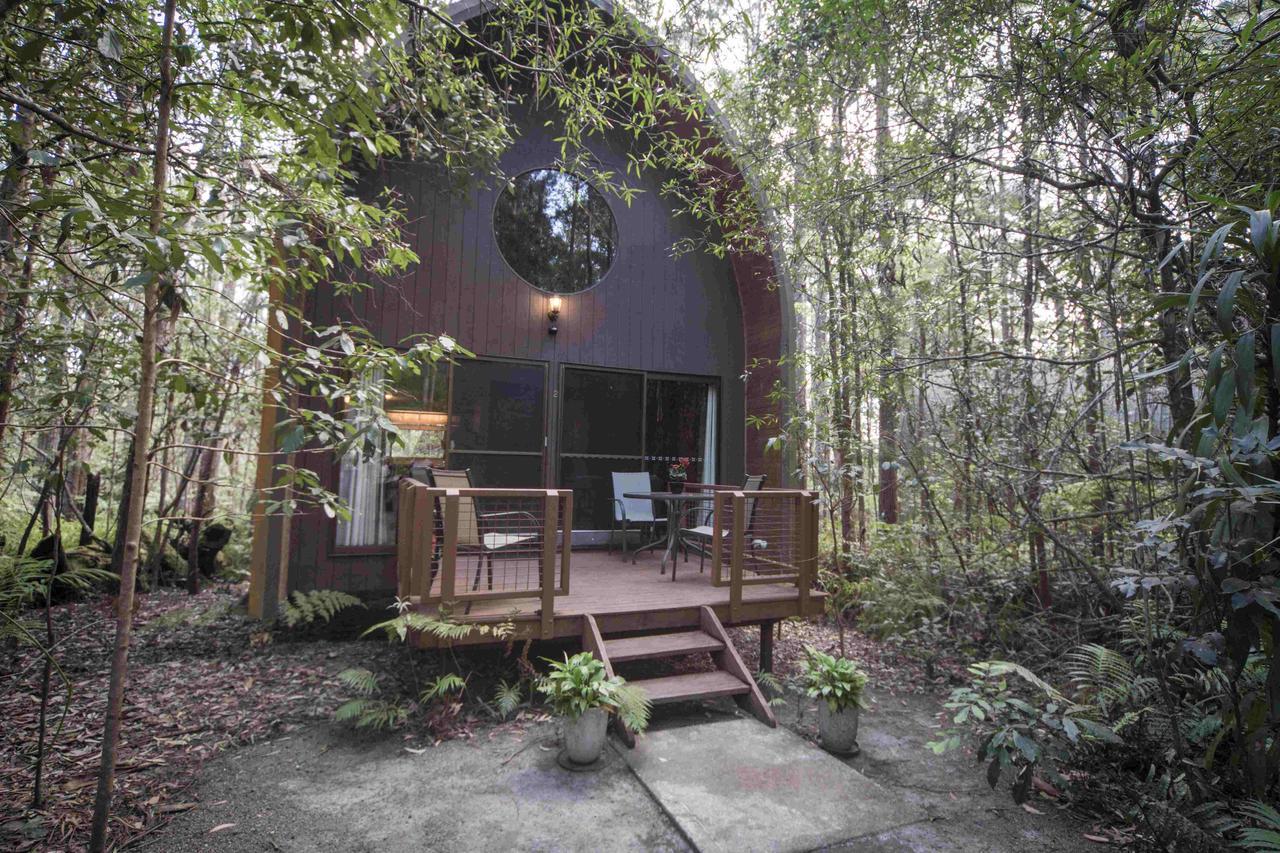 Springbrook Mountain Chalets Bilik gambar