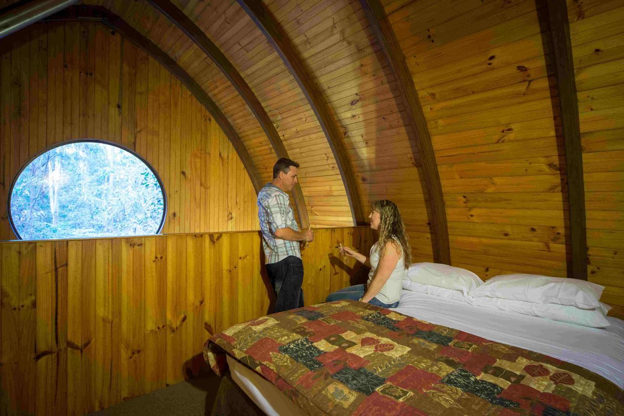Springbrook Mountain Chalets Bilik gambar